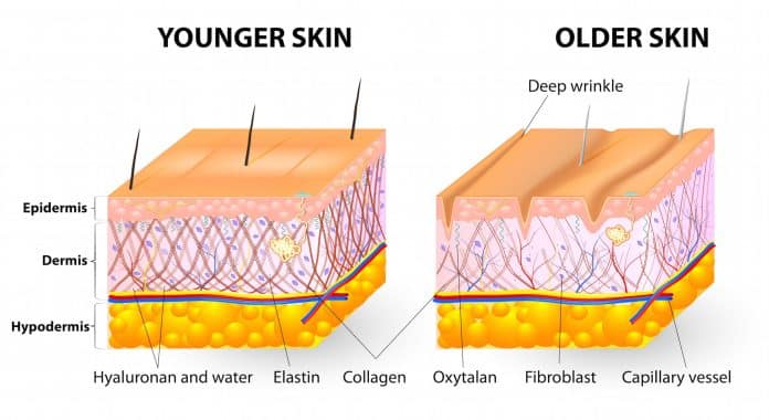 Enhancing Collagen with Red Light Therapy